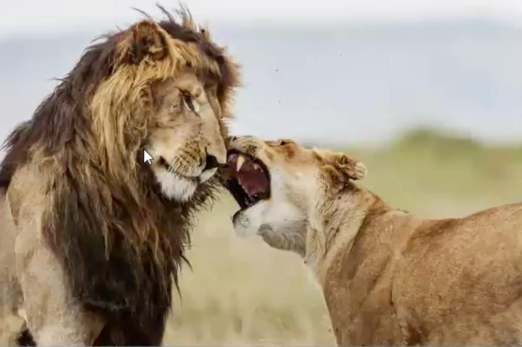 A calm man is a sexy man