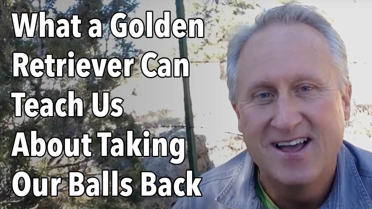 What a Golden Retriever Can Teach Us About Taking Our Balls Back