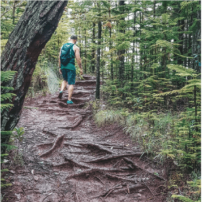 Confidence Course Image Of Man Hiking